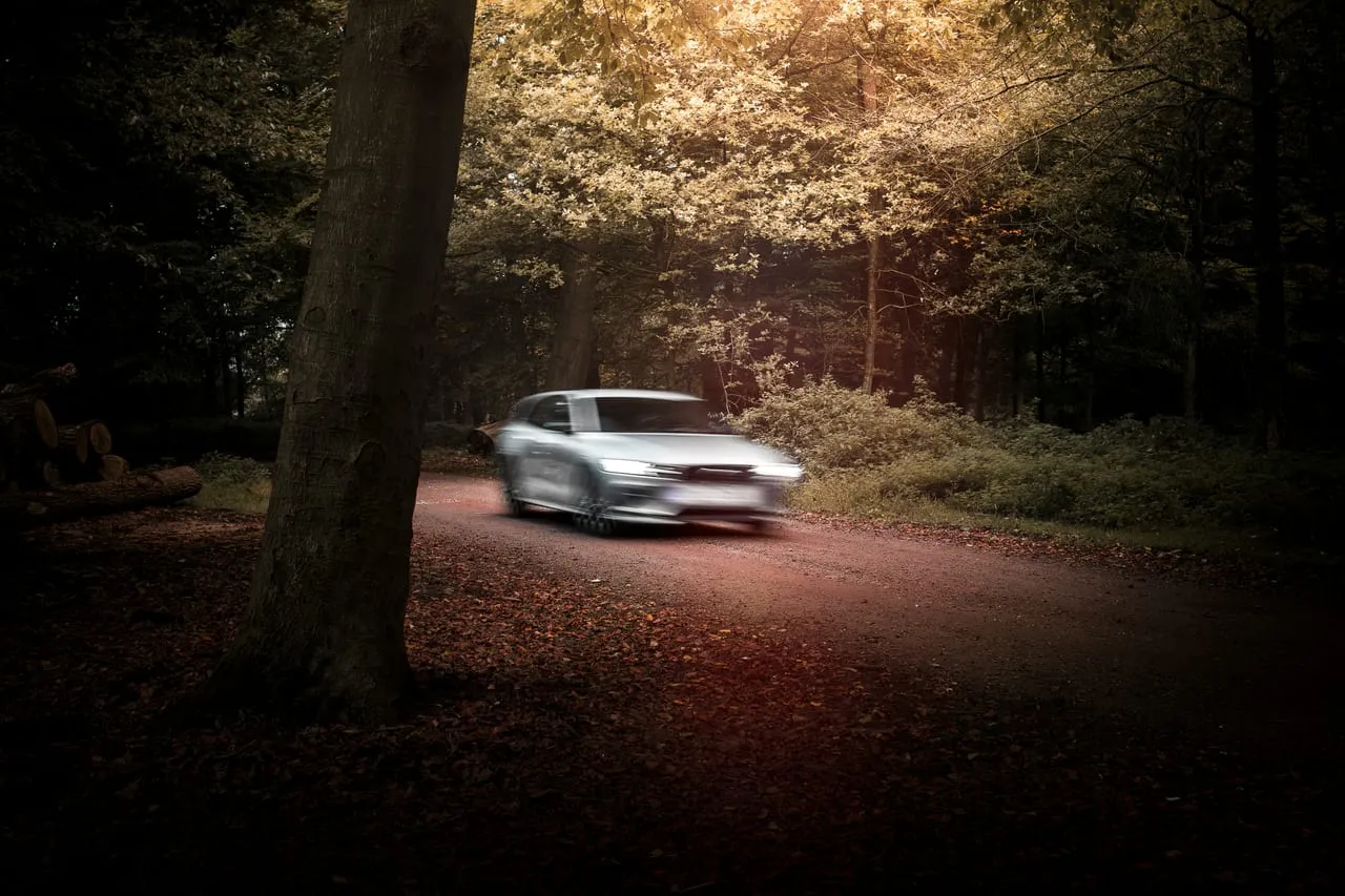 Une voiture sur une route en forêt