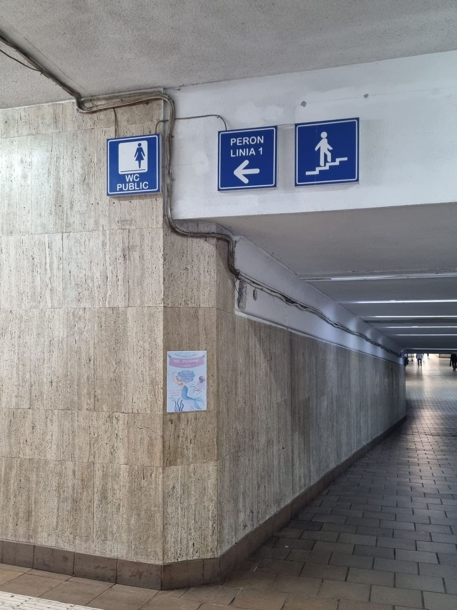 Cartelli per il bagno e i binari nel sottopassaggio della stazione di Brașov