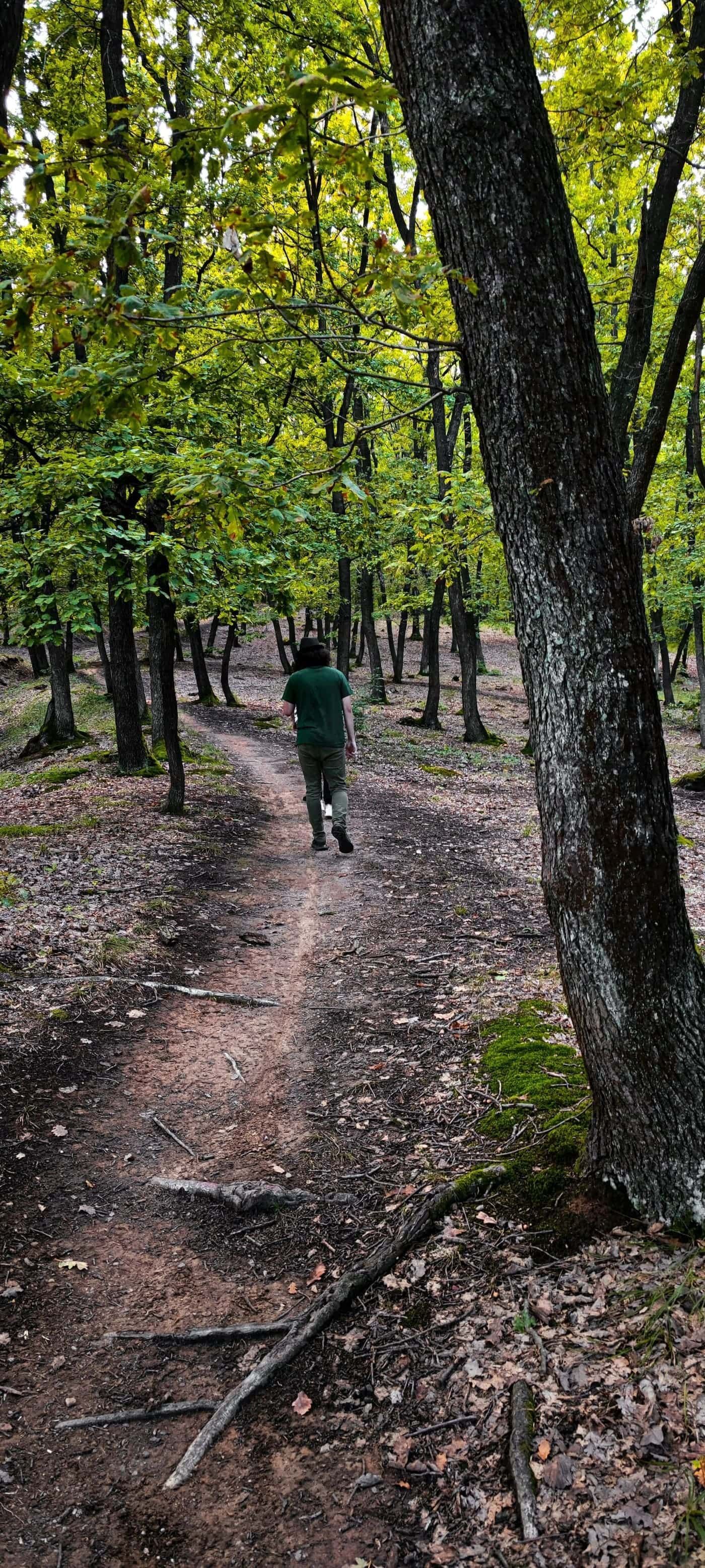 Hikers walking along a mossy forest trail in the Piatra Mare Mountains