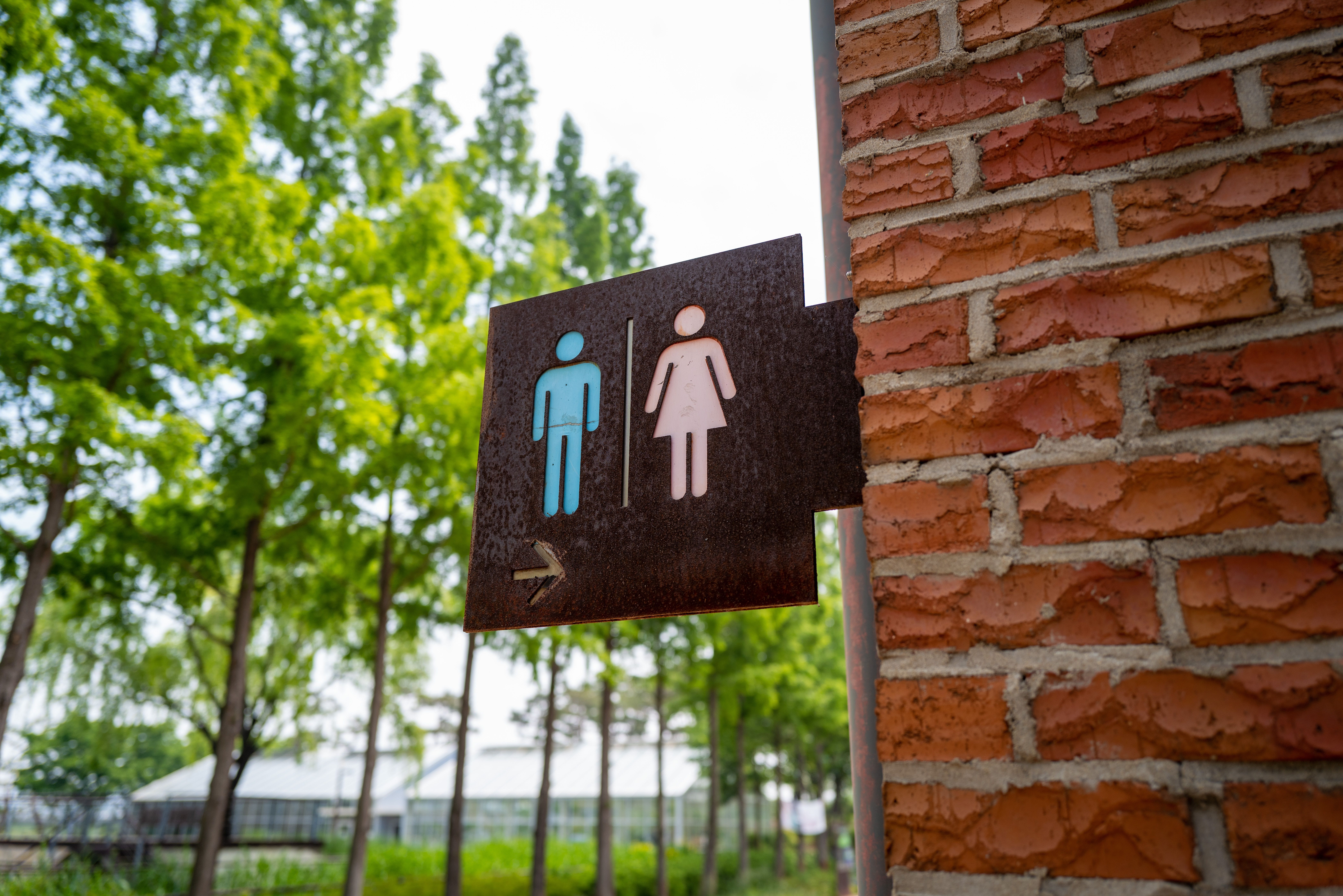 Modern public restroom exterior in Brașov