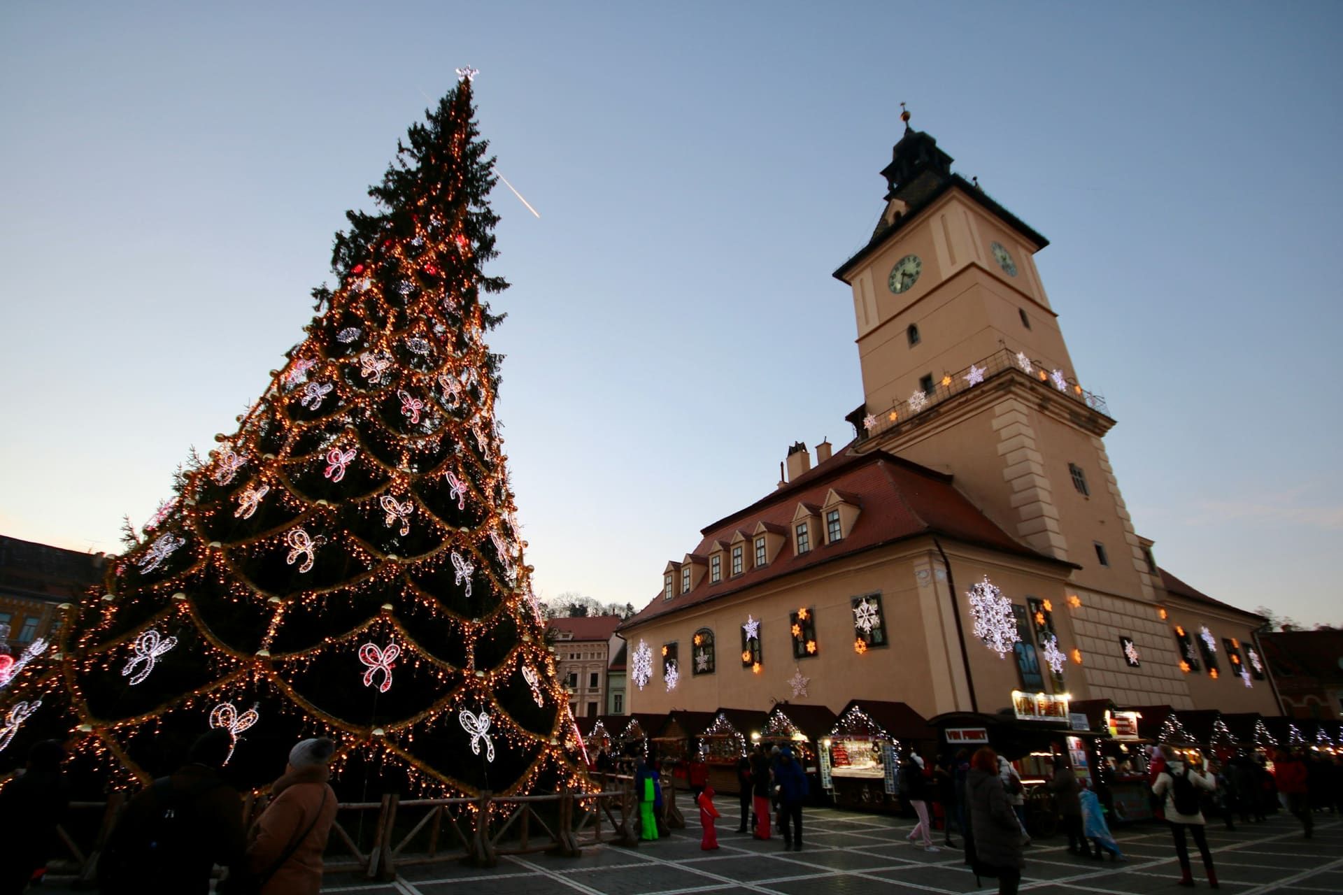 Towering Christmas tree glowing above Brașov's Council Square at night.