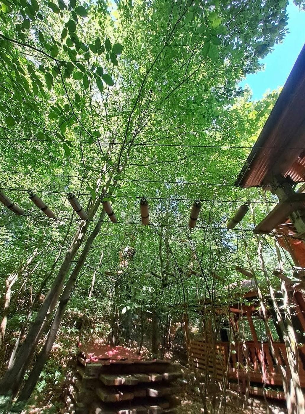 A person navigating a treetop obstacle course at Parc Aventura.