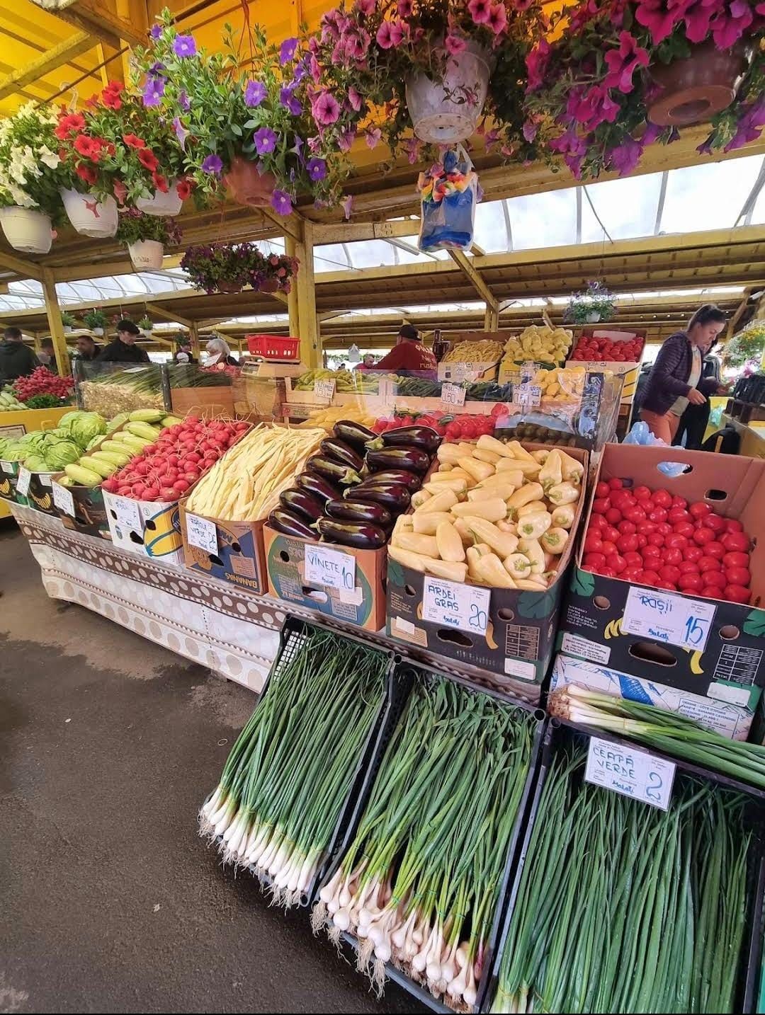 Tarabe cu ceapă verde și legume sub ghivece cu flori în Piața Astra