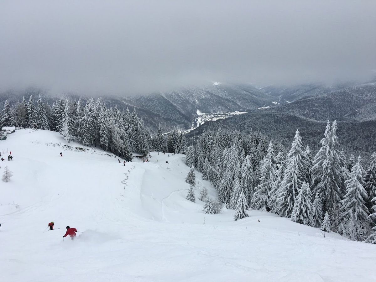 Sciatori su un'ampia pista innevata sopra una valle boscosa