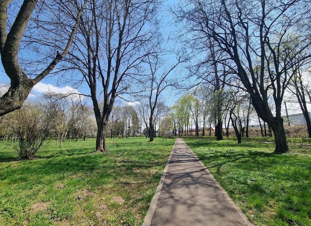A straight paved path between trees in Parcul Tractorul