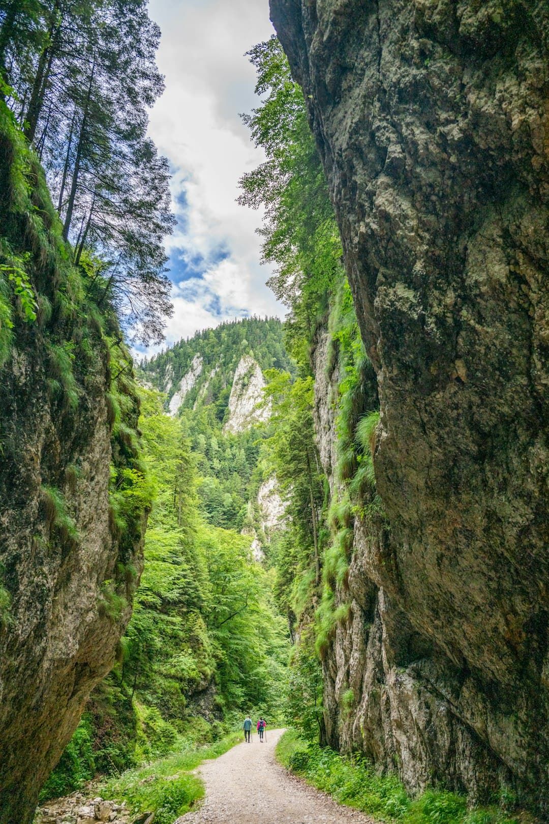 Zărnești Gorge trail between limestone walls